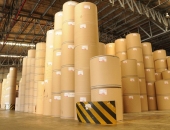 Đón đầu nhu cầu bao bì giấy ở Việt Nam